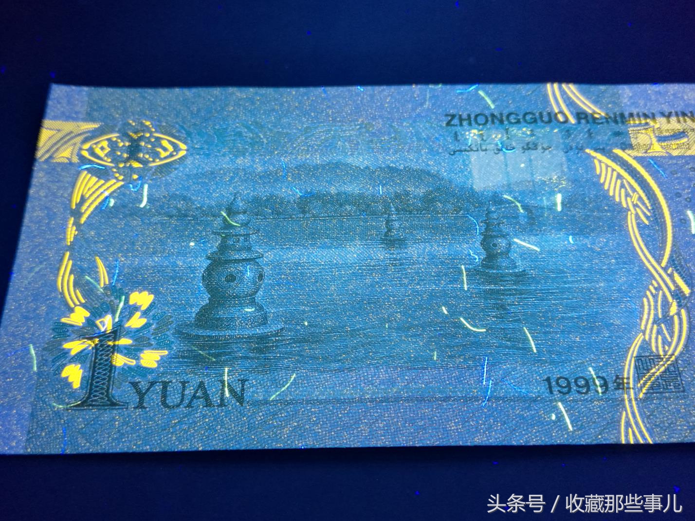 991背金沙荧光币,991荧光品种