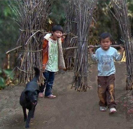 农村的孩子早当家大概意思,为什么说农村孩子早当家