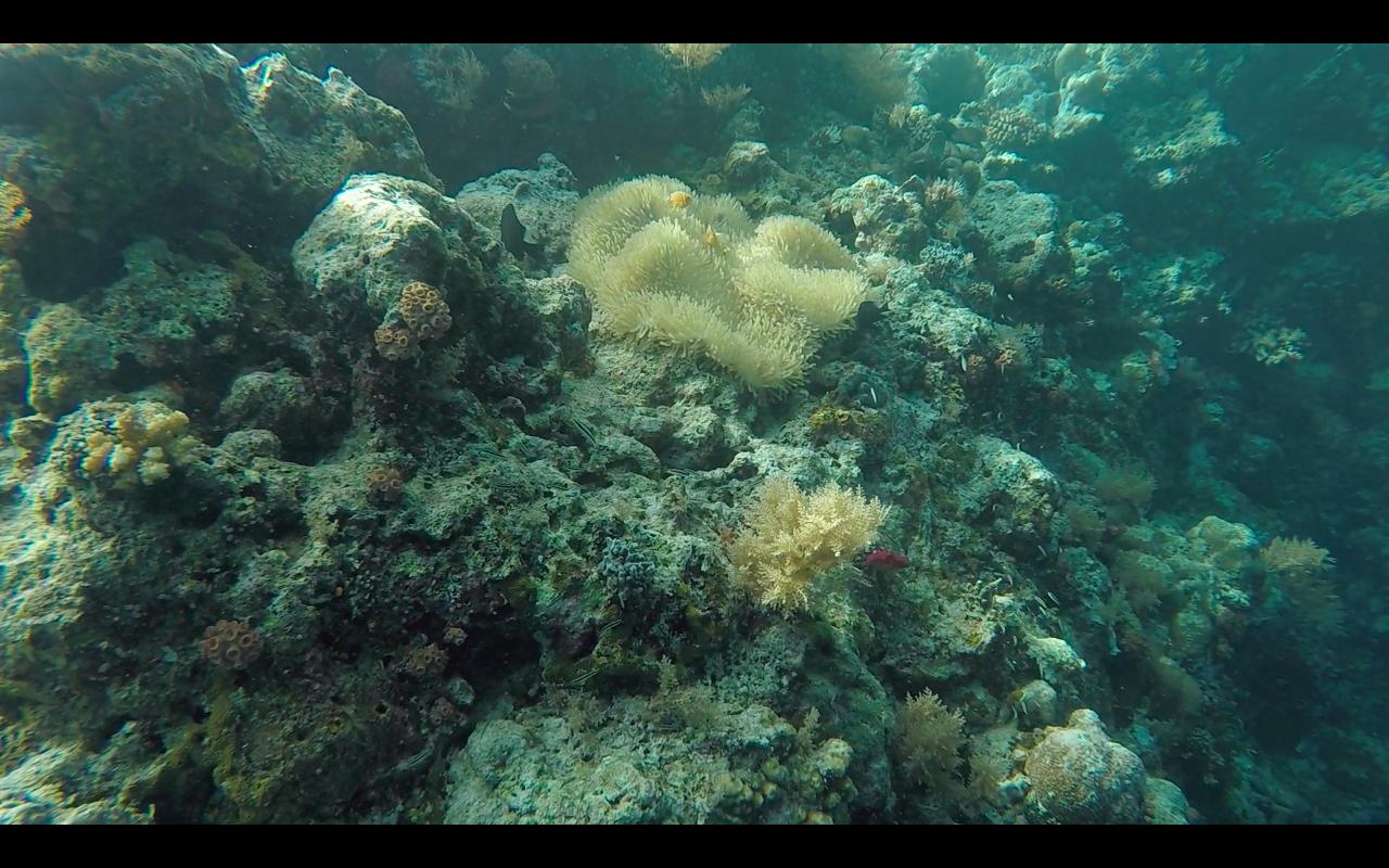 帕劳旅行攻略大全图文,帕劳旅行攻略图文大全