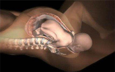 原来孕晚期胎儿入盆,关于胎儿入盆你了解多少