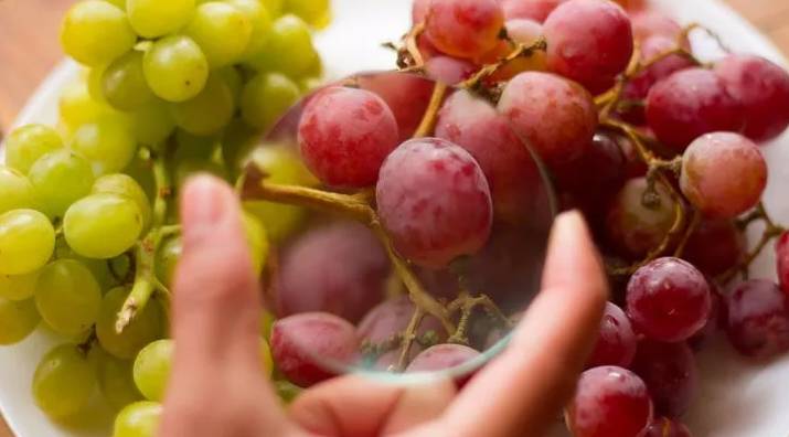 苹果切开后会氧化有什么办法,苹果切开久了变色还能吃吗