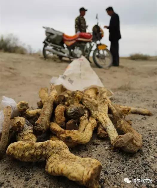 影像记忆资料,影像记忆与群体历史