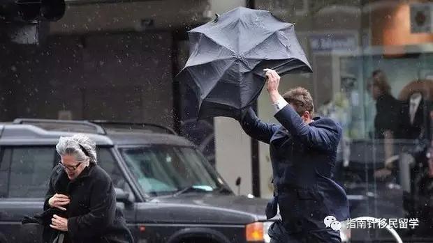 代购车厘子,代购心酸历程