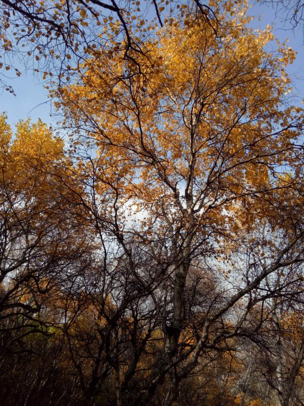 张北天路行,深度还原张北天路