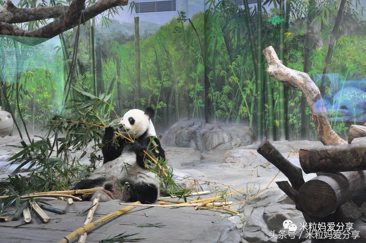 广州亲子游5天自由行不累,适合带宝宝去的亲子游