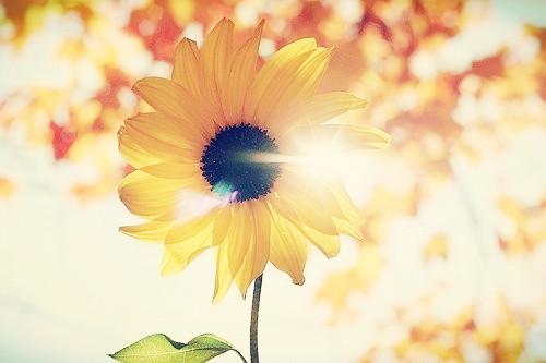 还记得那个抑郁自杀的走饭吗？让我们来重温下她的《走饭遗言》