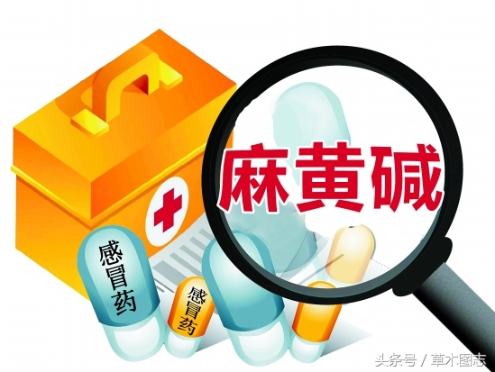 野生接骨草的作用,骨节草可以吃吗