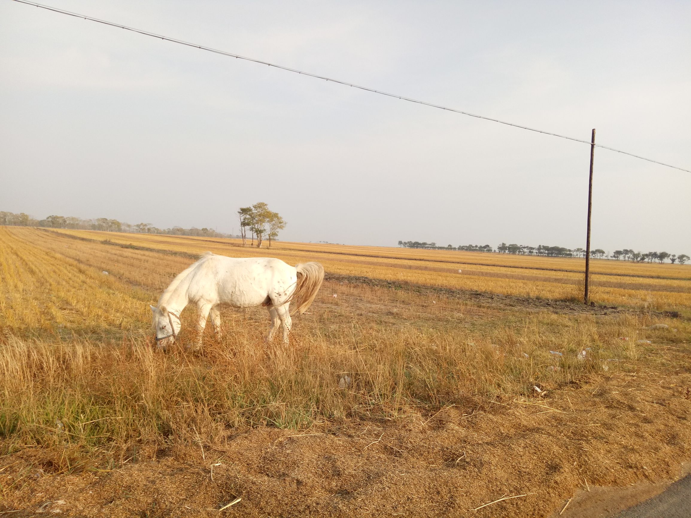 张北天路行,深度还原张北天路