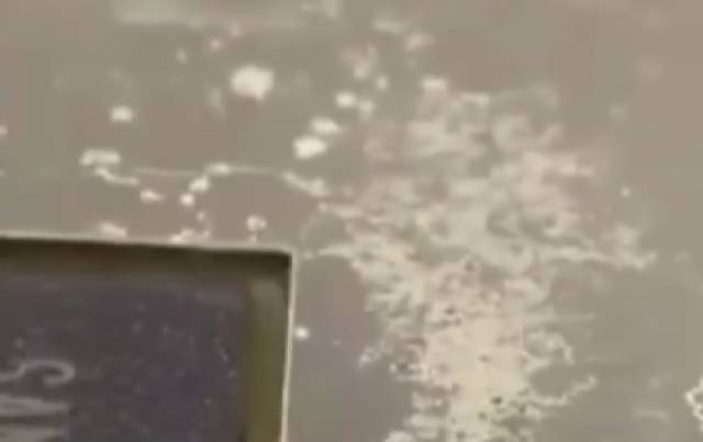 手机屏进水有水印简单的解决方法,手机进水黑屏了但是有声音怎么办