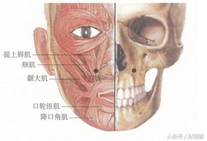 单纯性鼻炎鼻甲肥大,慢性鼻炎萎缩性鼻炎怎么导致的