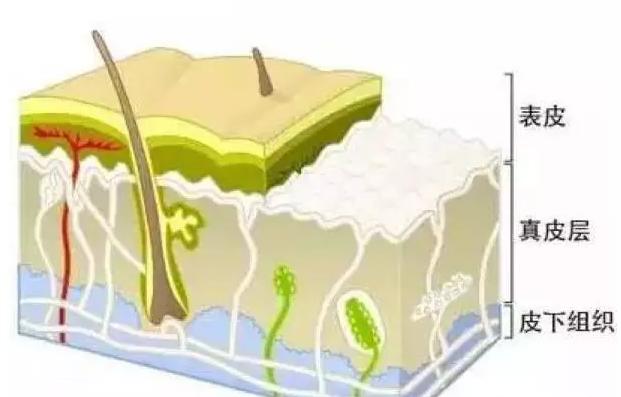 点痣会不会黑色素扩散越来越多,点痣会引起恶性肿瘤吗