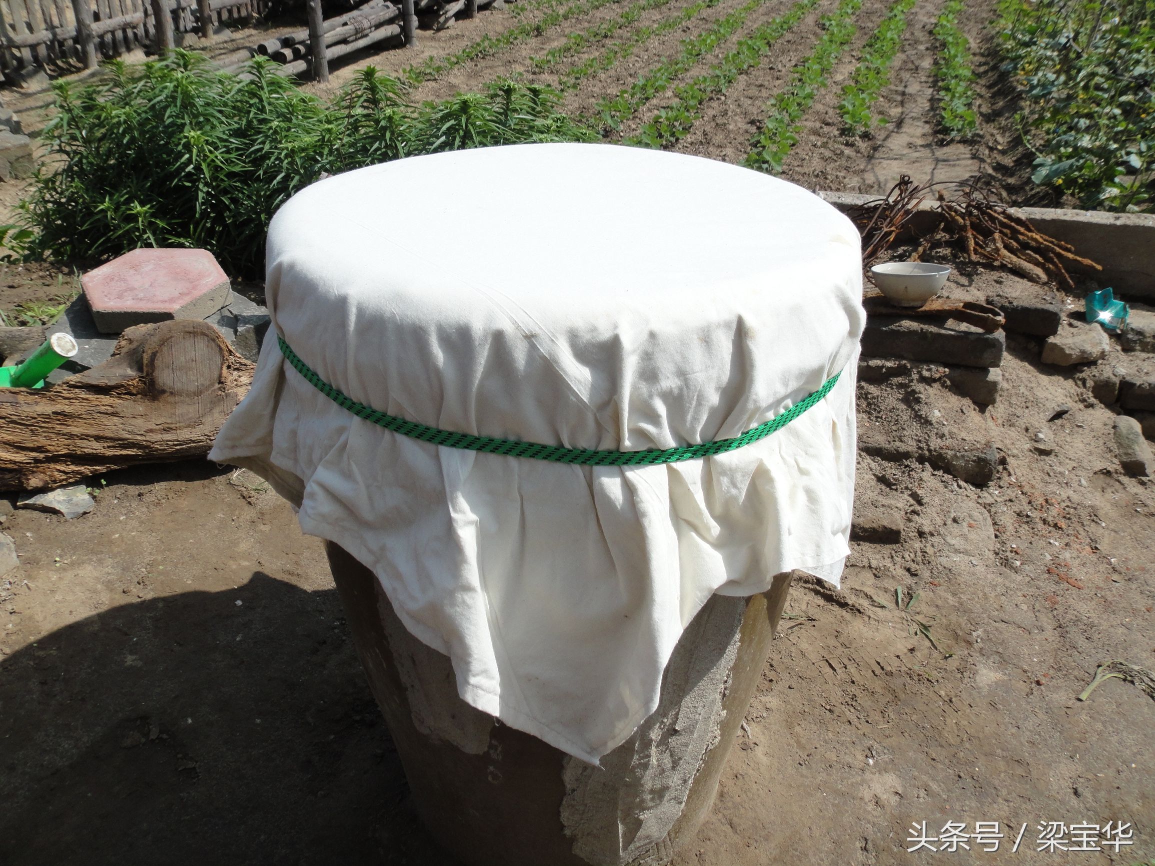 家下的大酱,东北大酱下酱全过程记录