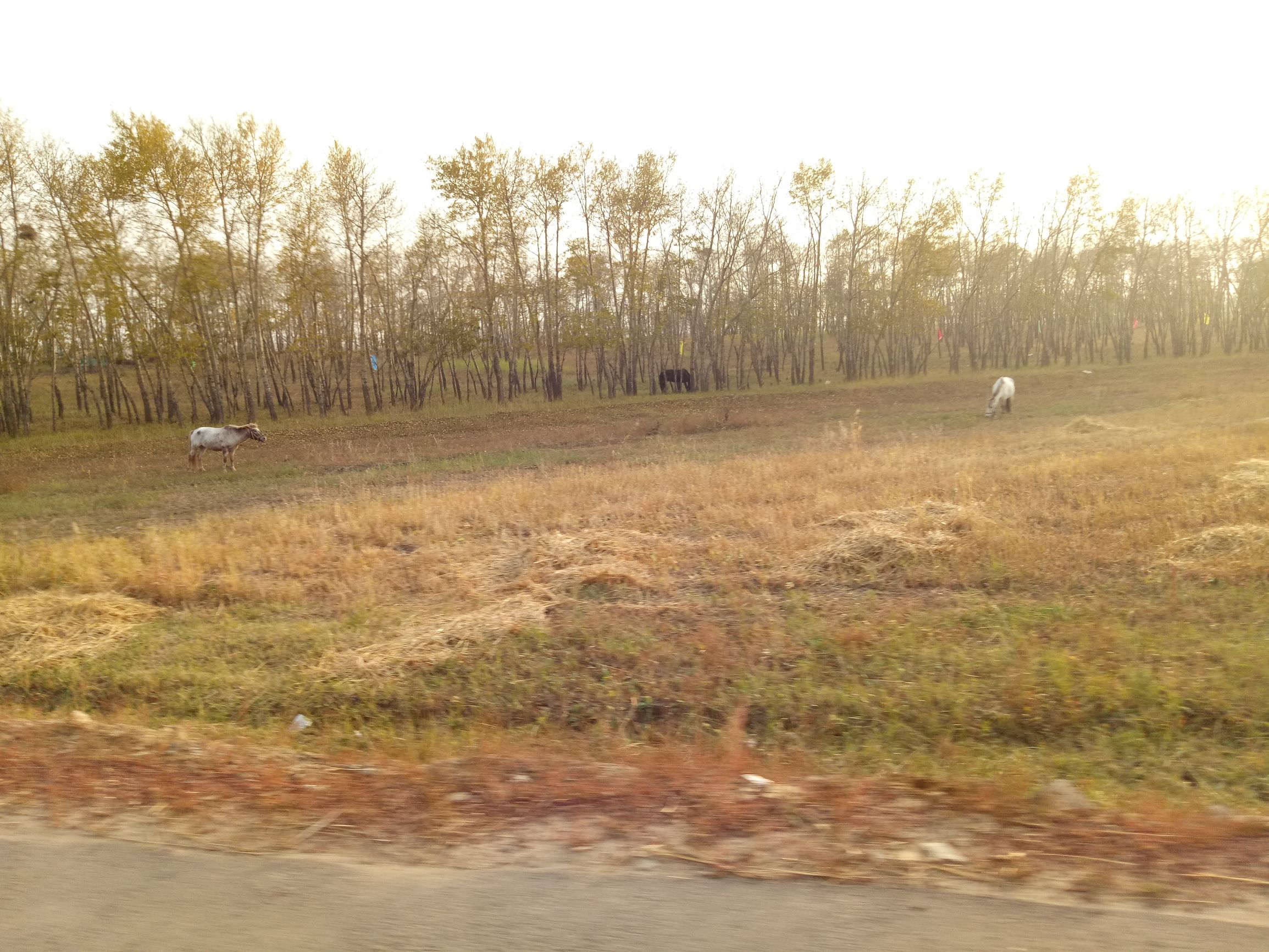 张北天路行,深度还原张北天路