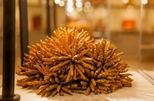 冬虫夏草全鸭汤,老鹅冬虫夏草汤