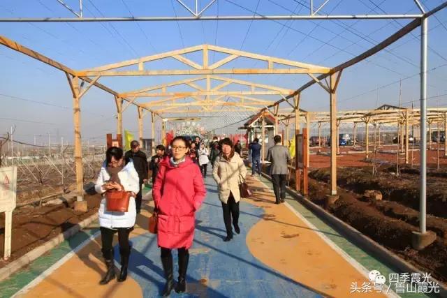 魅力龙泉,龙泉镇富硒采摘园