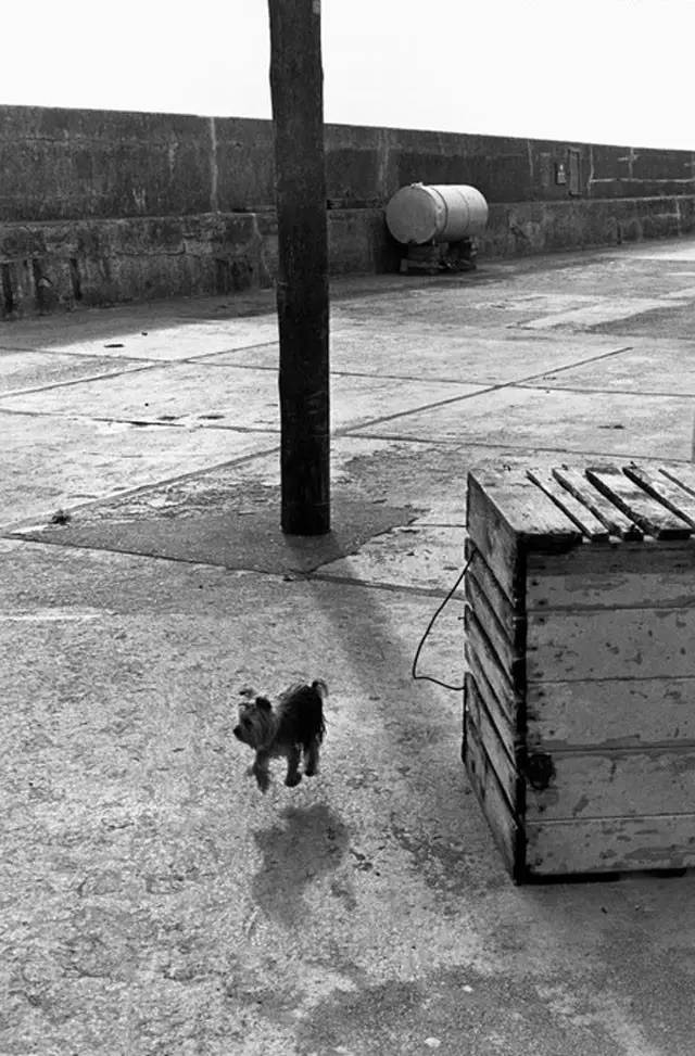 大师病逝送行,大师追悼会