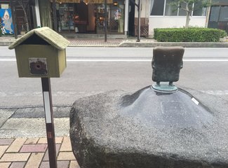 盛世公主号邮轮五日行程安排,千禧号豪华游轮图片