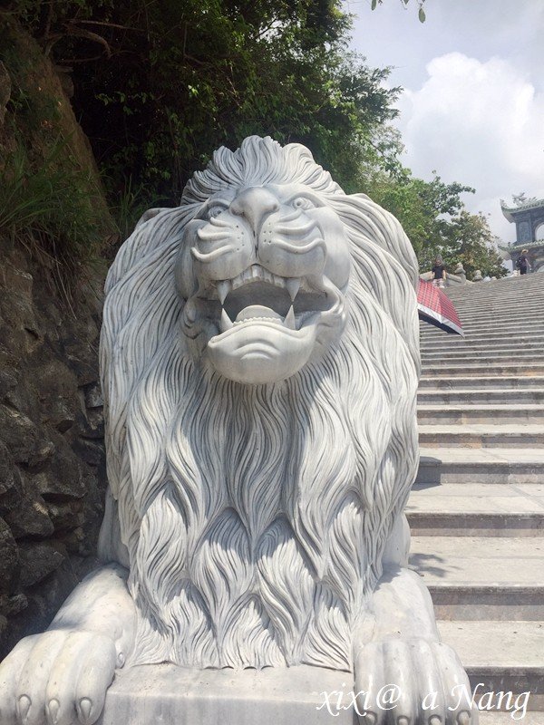 岘港六天五夜,岘港4天3夜消费