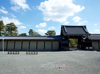 逛不尽的东瀛－二刷日本十五天