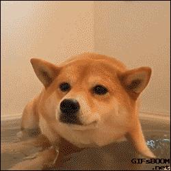 瀹夊埄澶т細鍗曞搧绾㈣壊,瀹夊埄骞村害鐩涘吀