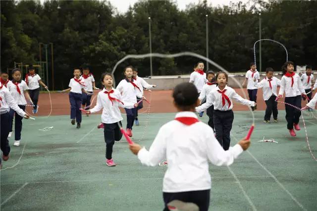 瞧，教育导报记者镜头下的2016！