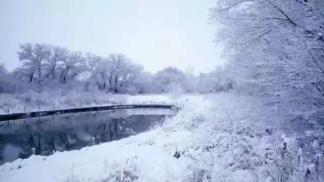 「聚焦」芸农庄的中国感恩节