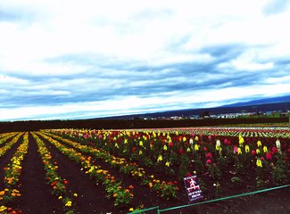 人在美途民族风旅拍,人在美途