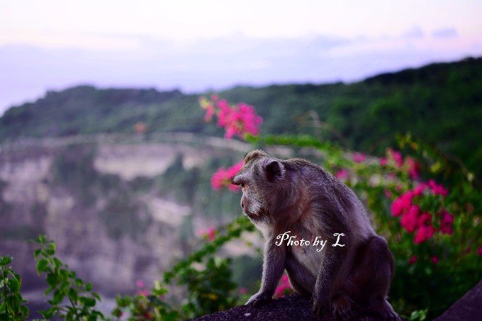 hina和hiro谈了多久,hina和hime住在一起吗