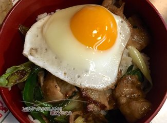 逛不尽的东瀛－二刷日本十五天