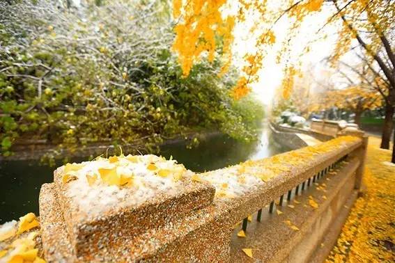 2016年的你是怎样的呢,原来你是这样的北京