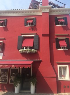 意大利威尼斯,佛罗仑萨浮生若梦