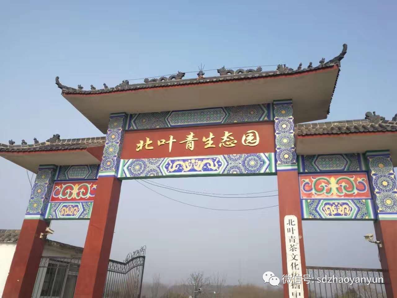 茶香余味图片大全,闻茶香品余味