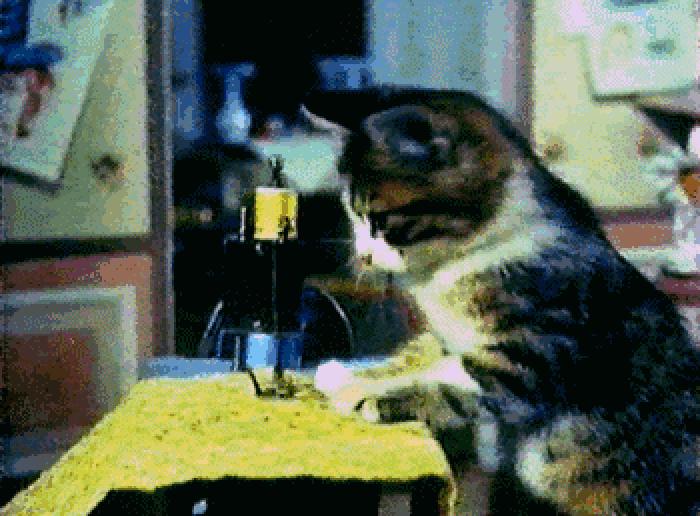 黄小姐和蓝小姐的2017年愿望清单