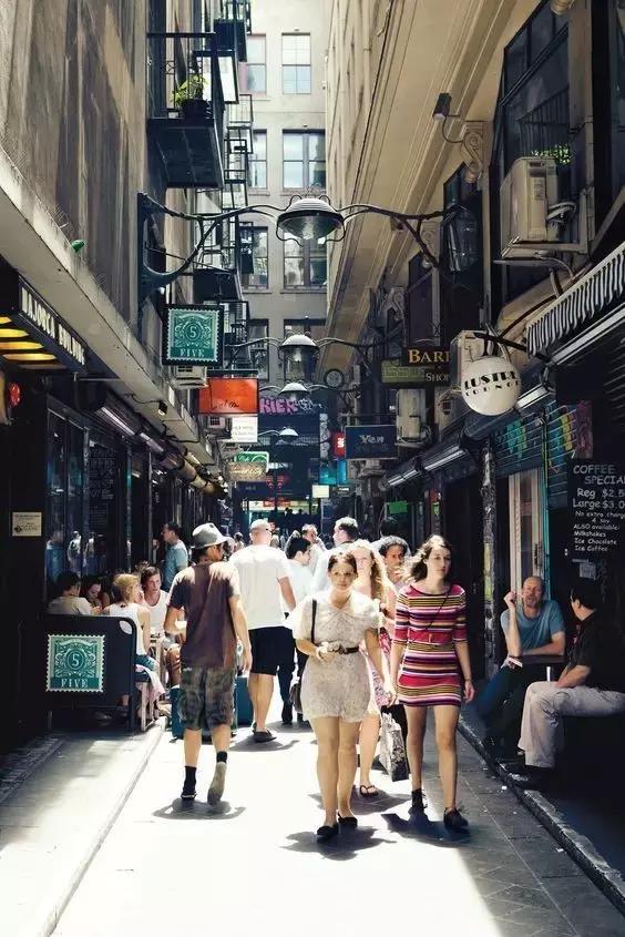 和大象拔河比赛,大象跟大象拔河