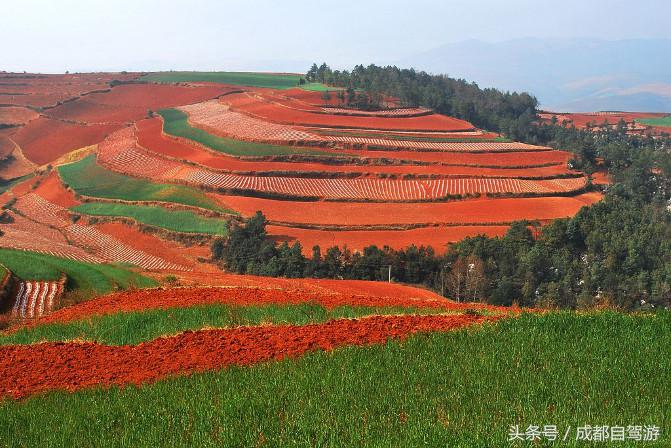 东川红土地距离元谋土林有多远,元谋土林东川红土地