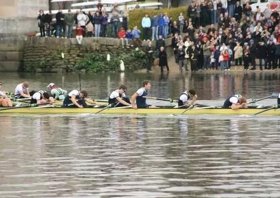 大象与大象拔河,与大象拔河比赛