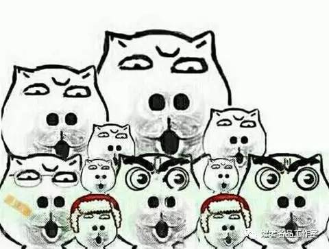 最经典的克洛伊小猪包,克洛伊chloe包多少钱