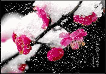 青江梅花香雪海,香雪海梅花国画