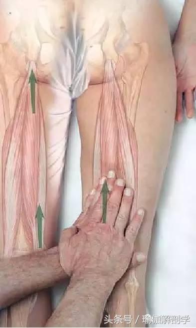 大腿后侧拉伤了怎么办快速缓解,大腿后侧拉伸筋疼怎么回事