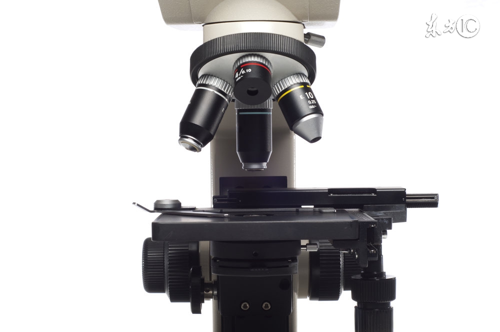 火碱通下水道的方法,活检是干什么的呢