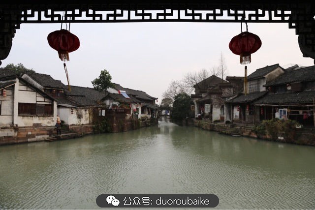 古镇寻肉记:那些旅行中遇见的植物!