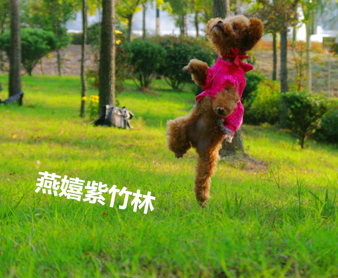 一人我饮酒醉女生唱出来的,一人我饮酒醉歌词来历详细解析