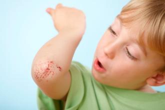 小儿白血病饮食菜谱大全,浆细胞白血病饮食禁忌