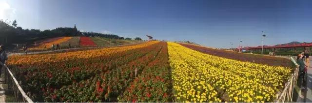 广东冬天看雪的最佳旅游地,广东周边冬天看雪最适合去哪旅游