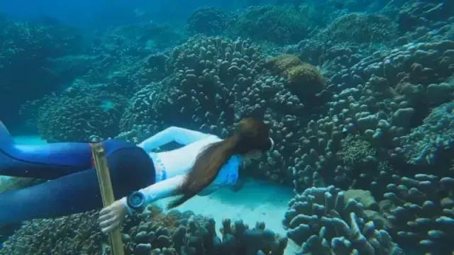 美娜多潜水在什么地方,潜水美娜多取景地