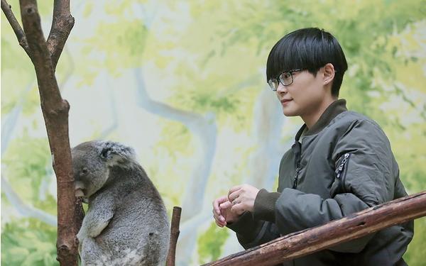 大家对湖南卫视的看法,是吐槽还是赞美呢