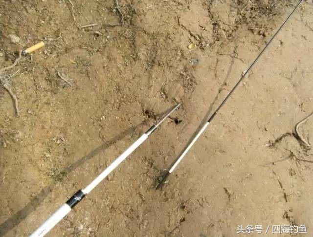 自行保养鱼竿的方法和技巧,如何保养鱼竿