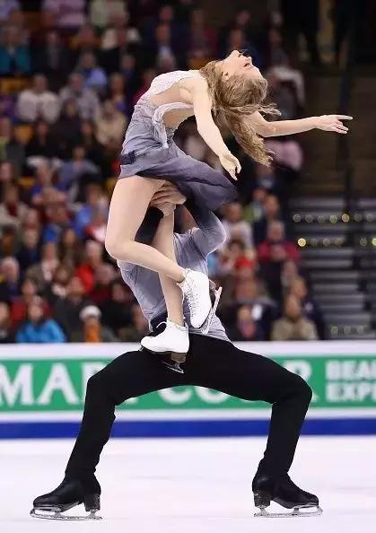 和大象拔河比赛,大象跟大象拔河