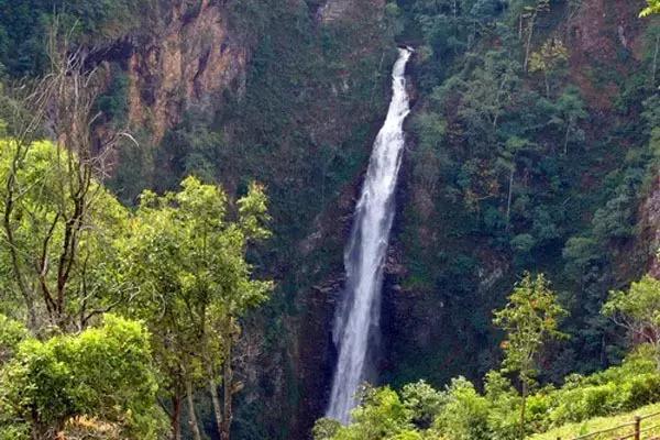 大象与大象拔河,与大象拔河比赛