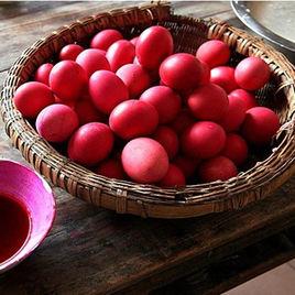 小鸡蛋大奥妙,各种小鸡蛋的科学知识